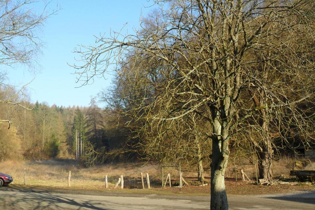 Hotel Badstube Otterberg Bagian luar foto
